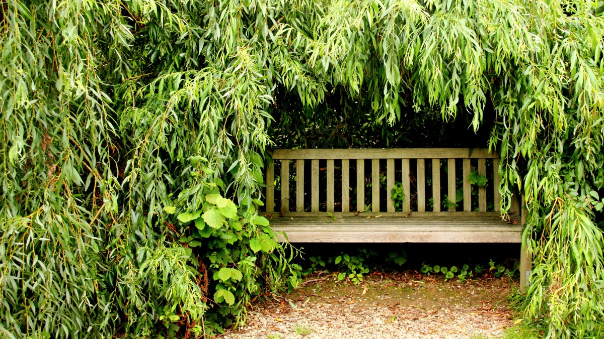 户外公园长椅图片-风景壁纸-高清风景图片-第9图-娟娟壁纸