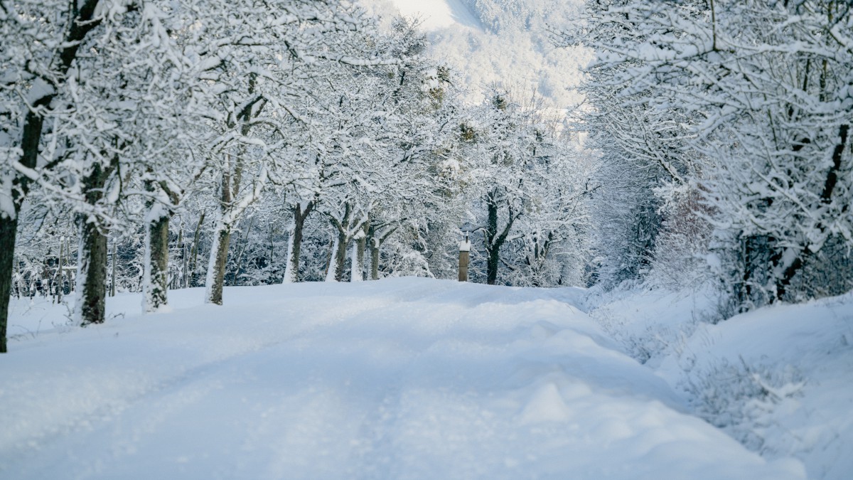 高清冰雪風景圖片88