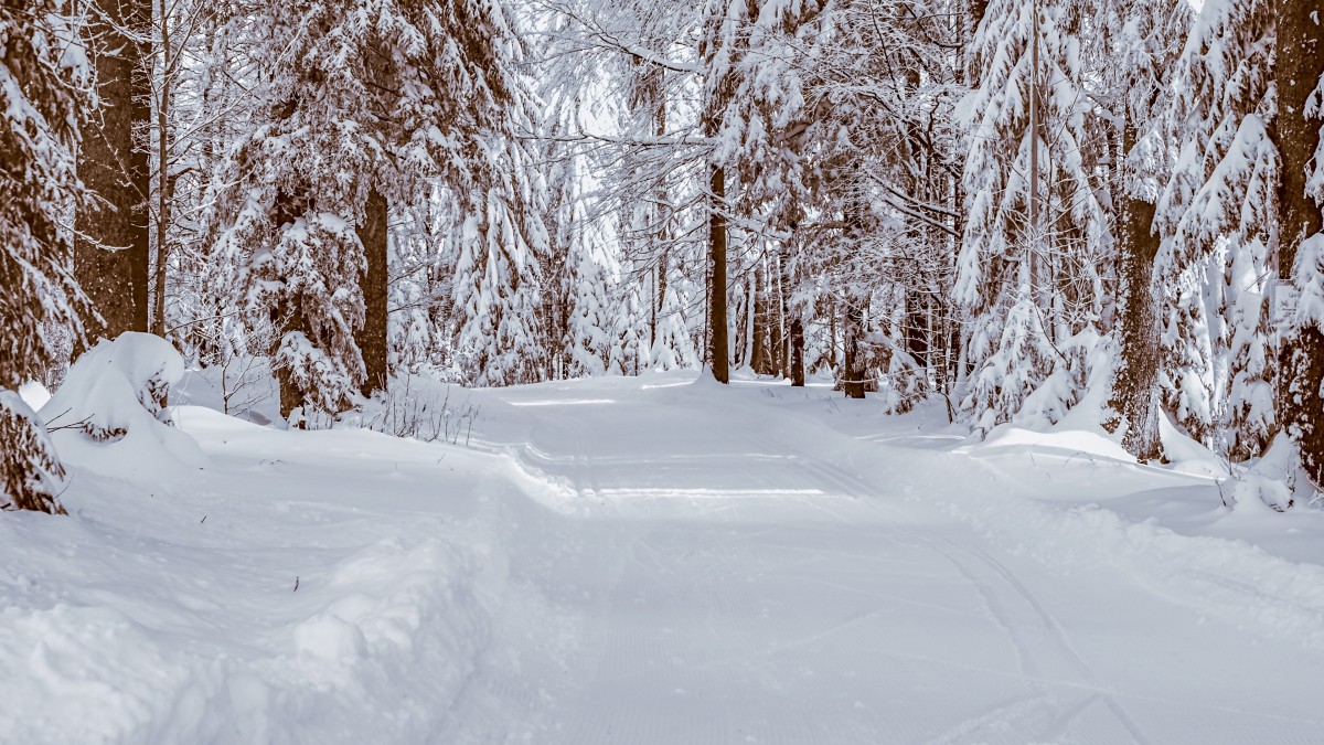 冬天的雪風景圖片114