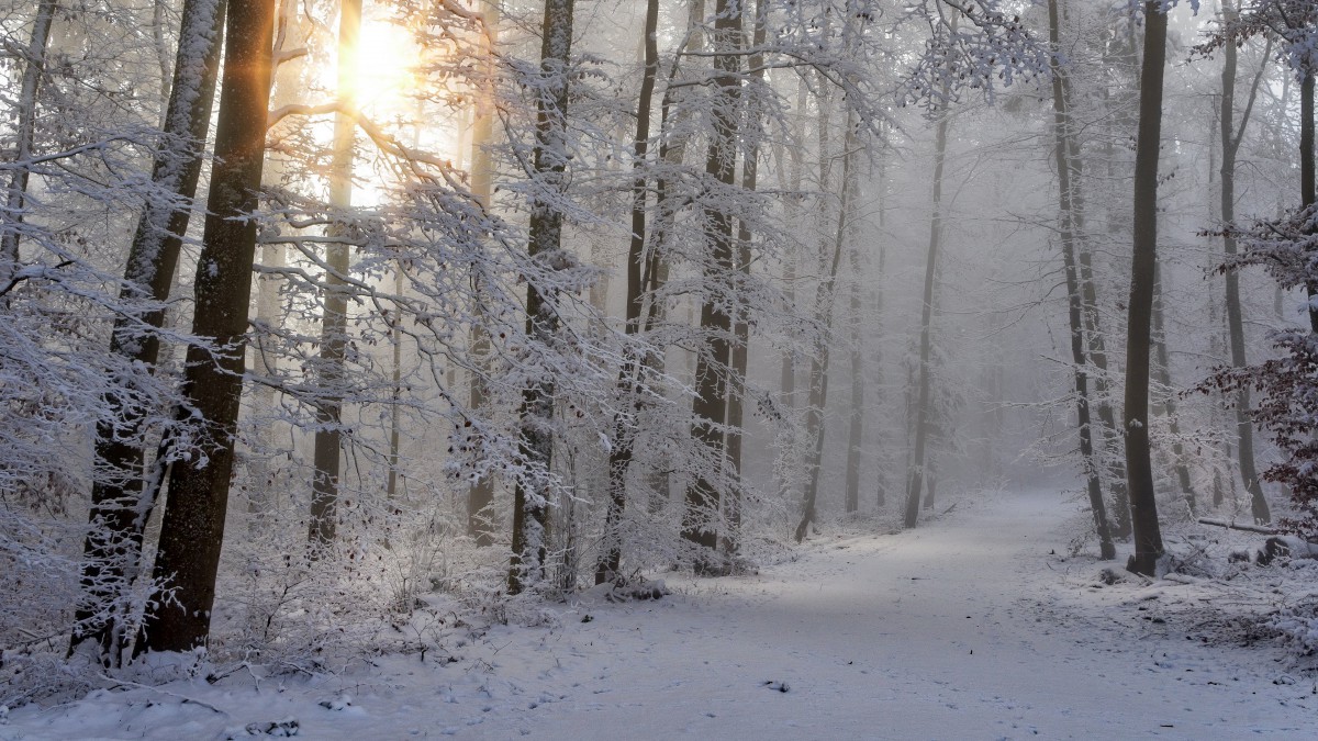 冬天的雪风景图片-风景壁纸-高清风景图片-第6图-娟娟壁纸