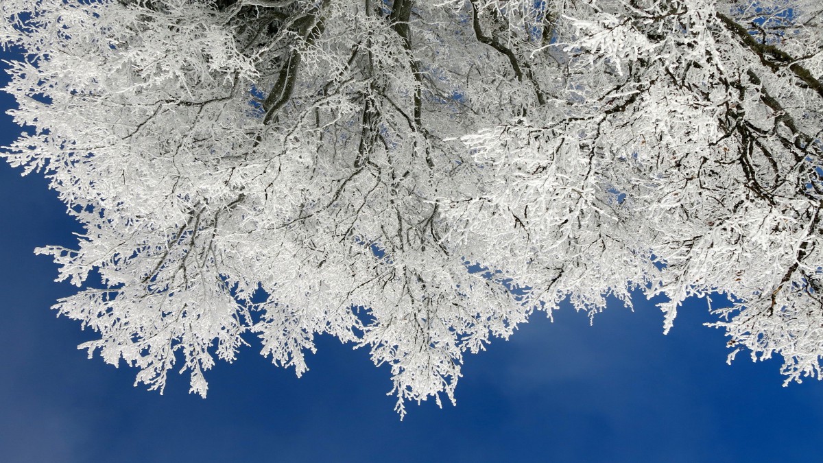 桌面壁纸 风景 雪山雪景 雾凇雪景景观图片壁纸分辨率(3840x2160)