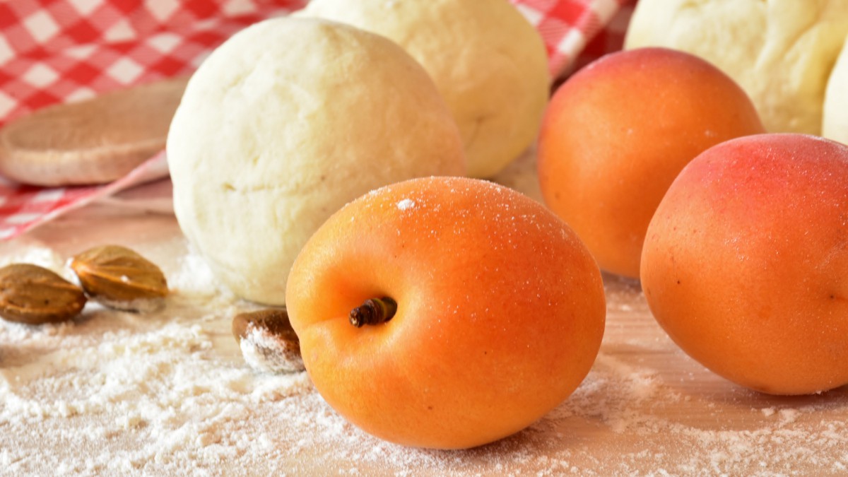 水果杏图片大全-花卉壁纸-高清花卉图片-第16图-娟娟壁纸