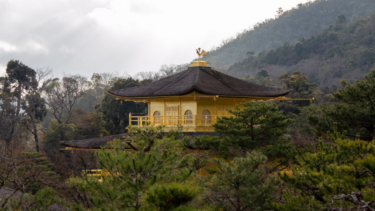 日本京都金阁寺风景高清图片 风景壁纸 高清风景图片 第9图 娟娟壁纸