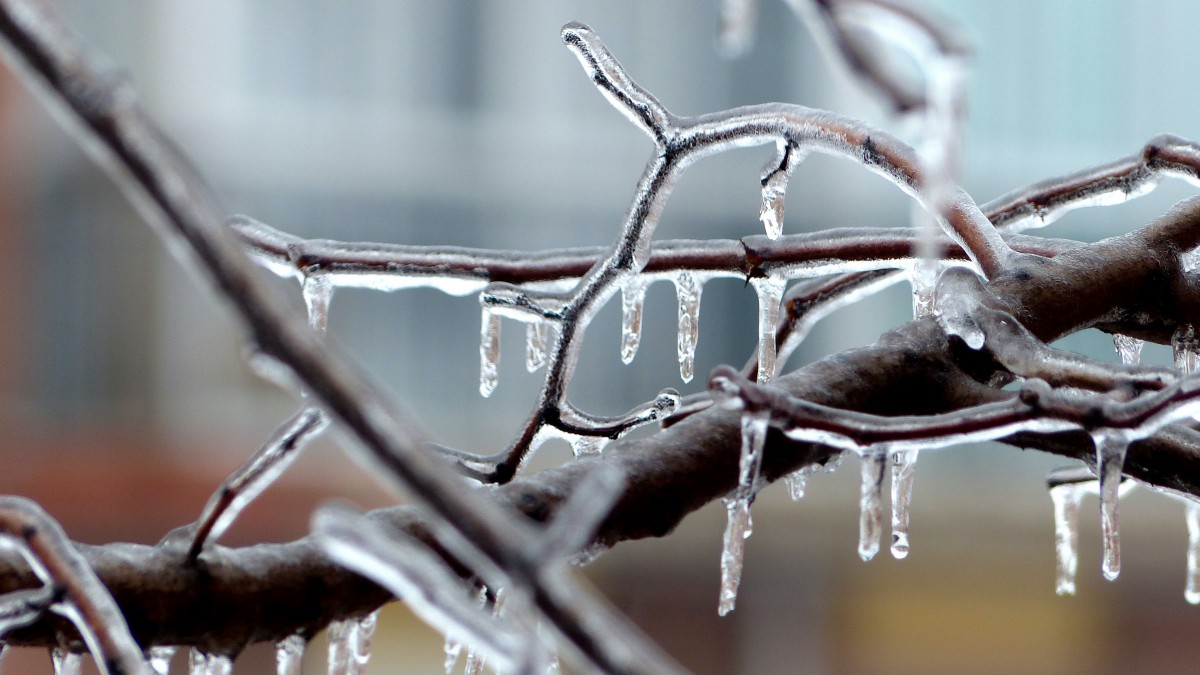 晶莹的冰凌图片-风景壁纸-高清风景图片-第4图-娟娟壁纸
