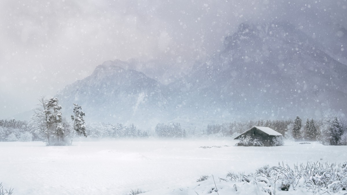 飘落的雪花图片-风景壁纸-高清风景图片-娟娟壁纸