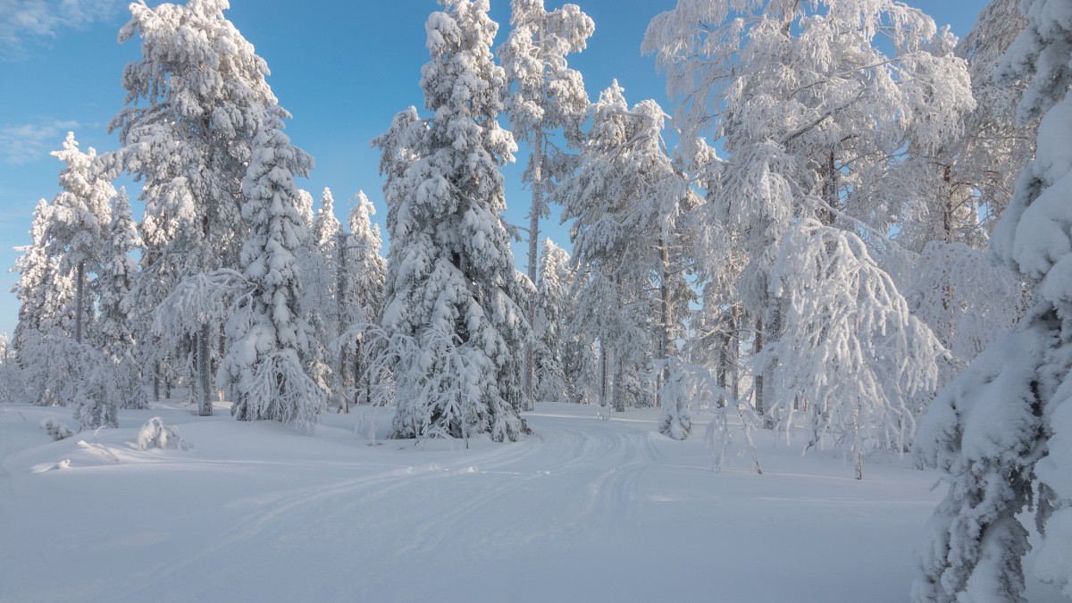 高清冬季雪景圖片-風景壁紙-高清風景圖片-第11圖-娟娟壁紙