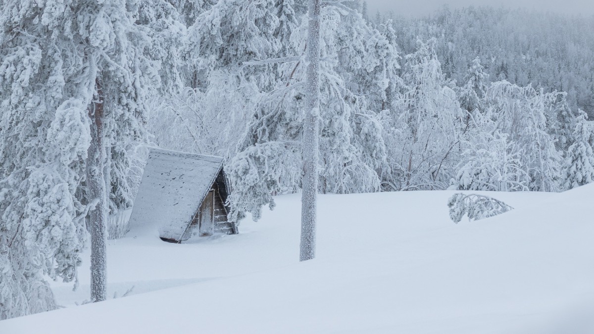 高清冬季雪景圖片1315