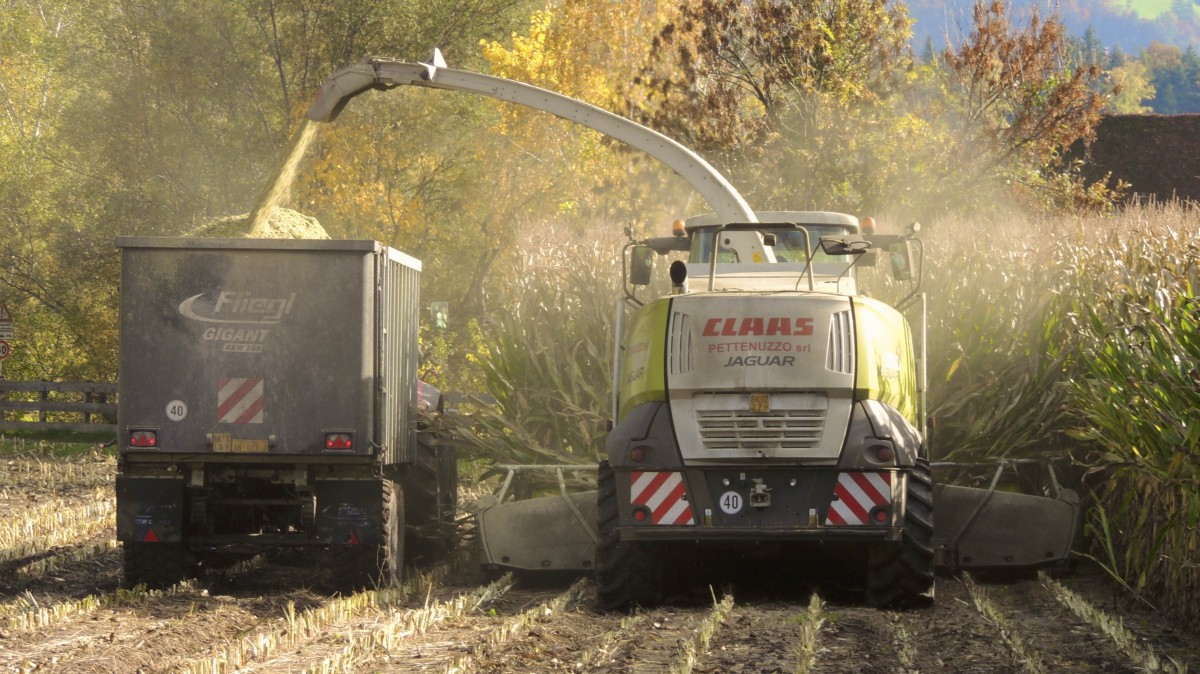 联合收割机图片大全(10/17)