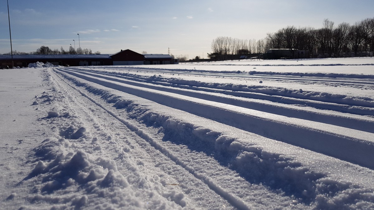 晴天雪景图片315