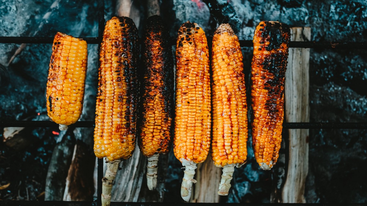 香气扑鼻的烤玉米图片110