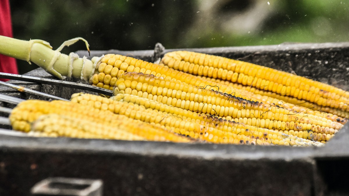 香气扑鼻的烤玉米图片410