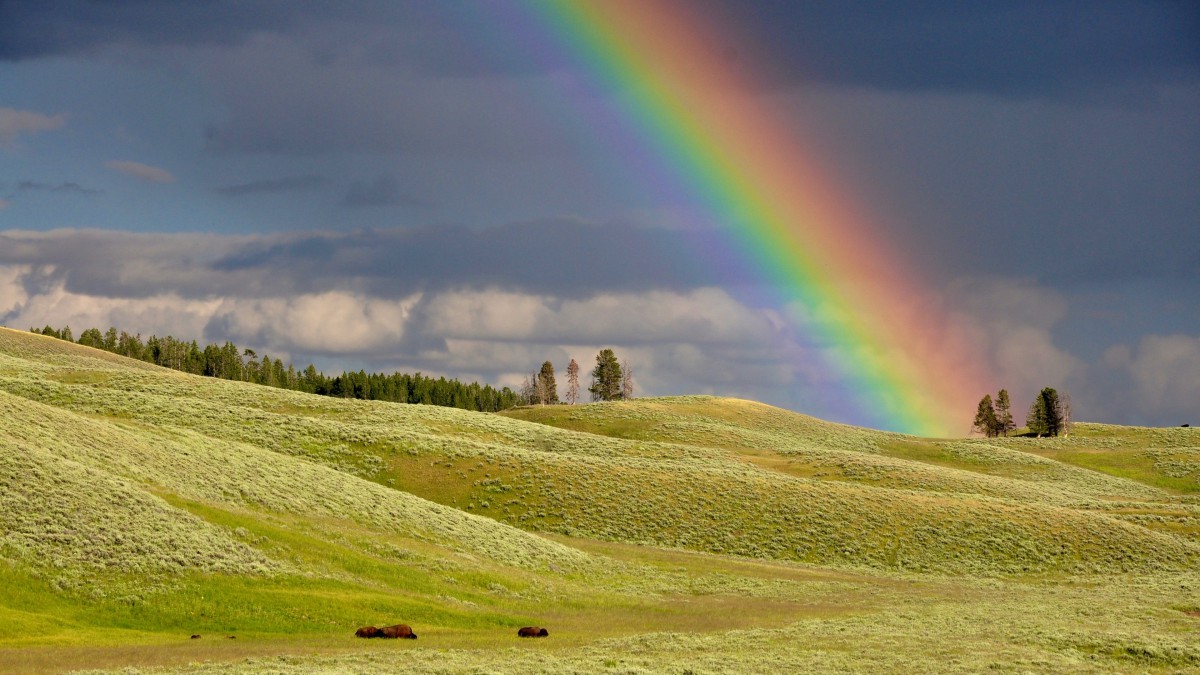 风景彩虹真实照片图片