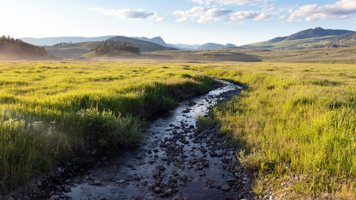 4k高清小河溪流图片壁纸(10/13)