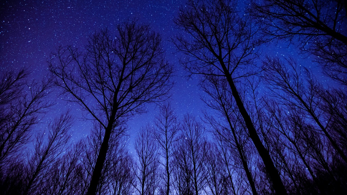 美麗的夜空星空圖片-風景壁紙-高清風景圖片-第8圖-娟娟壁紙