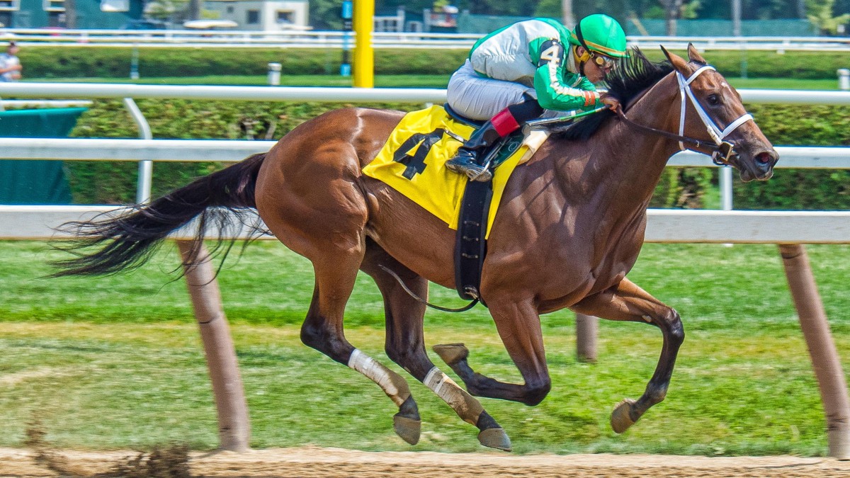 高清赛马比赛图片412