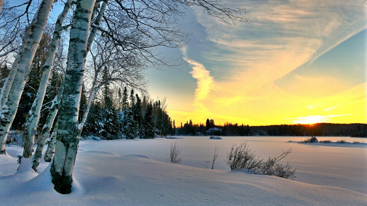 魁北克冬季雪景图片314