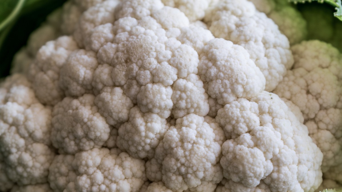 蔬菜菜花图片(11/12)