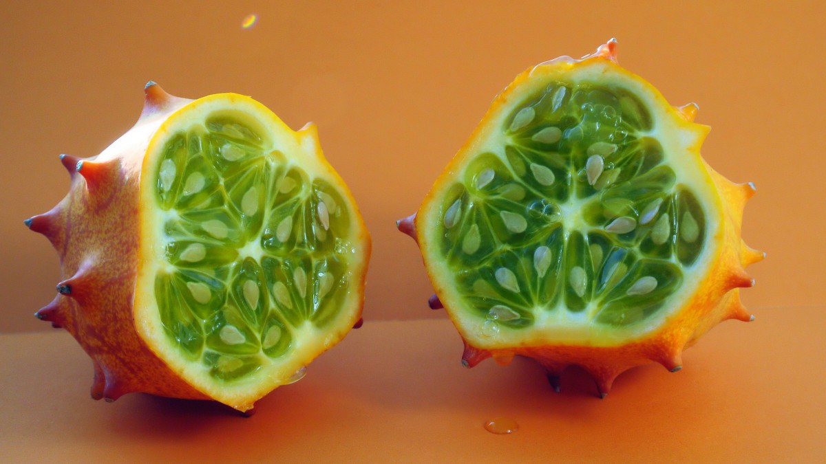 桌面壁纸 花卉 水果蔬菜 > 清甜的刺角瓜图片显示:√欣赏模式   全屏