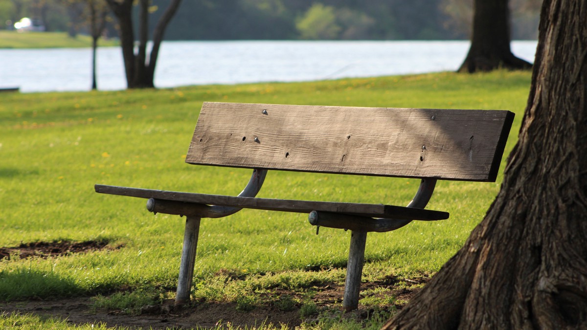 户外的休息长椅图片(5/16)