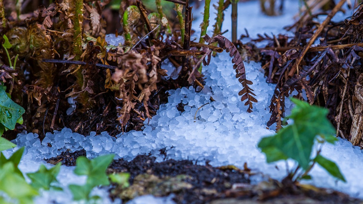 真实下冰雹的图片-风景壁纸-高清风景图片-第4图-娟娟壁纸