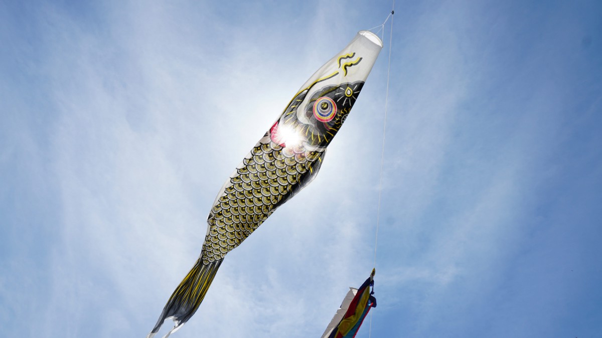 日本鲤鱼旗图片-风景壁纸-高清风景图片-第3图-娟娟壁纸