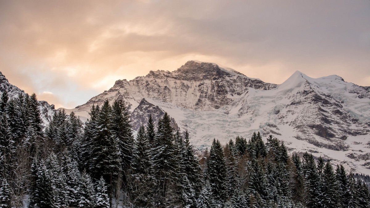 原图你的电脑分辨率(1600x1600)→生成壁纸显示:√欣赏模式全屏模式