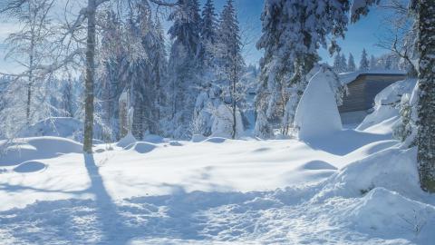 高清冬季白雪图片