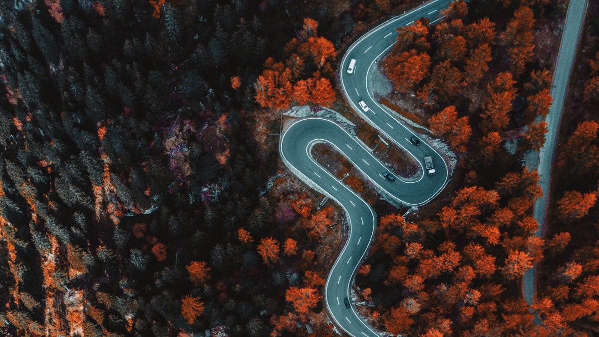 森林中蜿蜒曲折的公路图片410