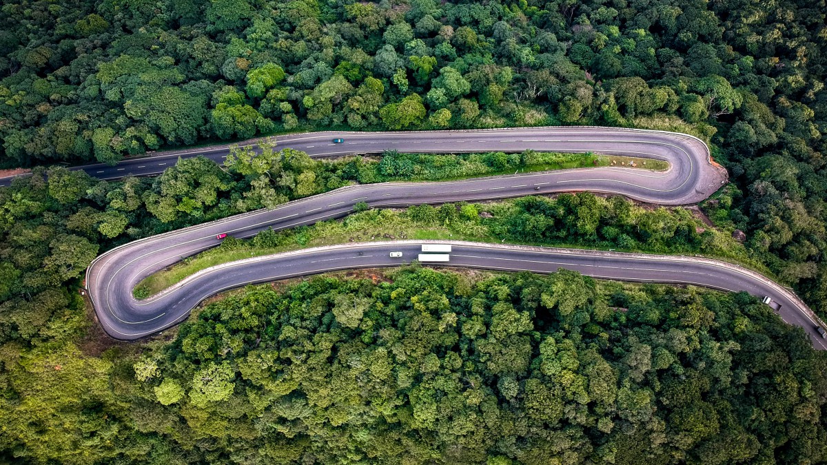 森林中蜿蜒曲折的公路图片810