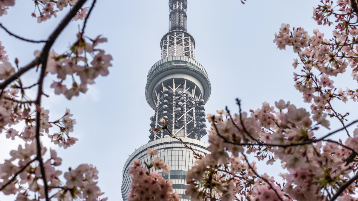 日本东京晴空塔图片-建筑壁纸-高清建筑图片-第6图-娟娟壁纸