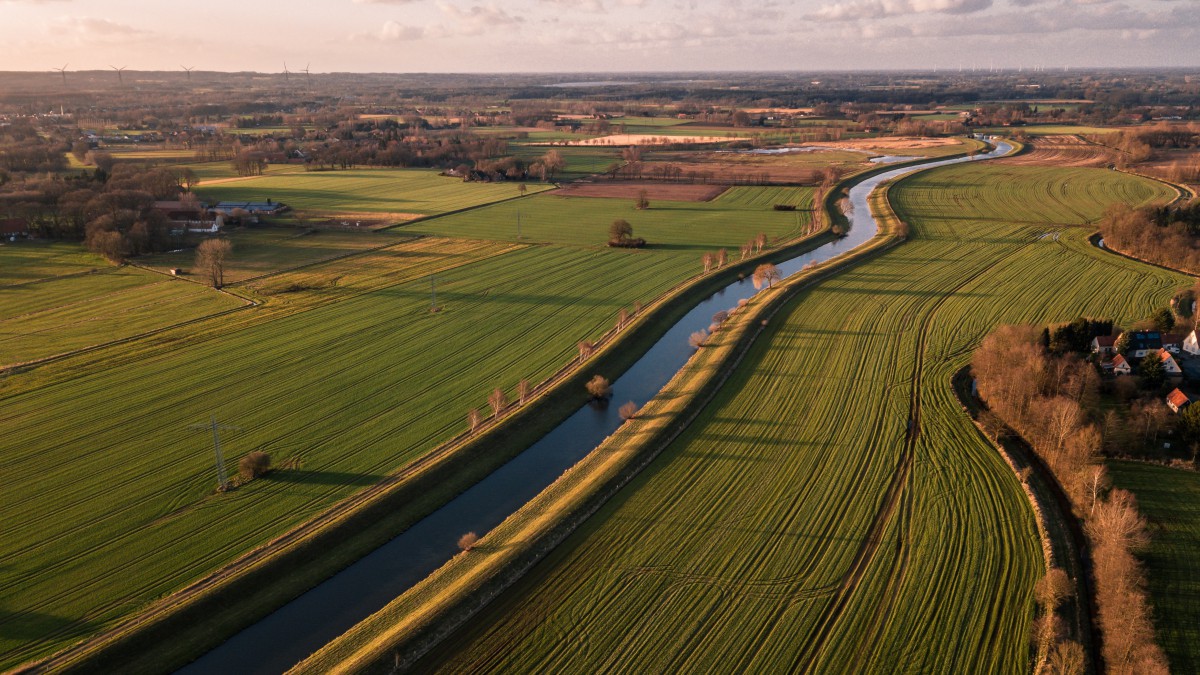 一片绿油油的农田图片