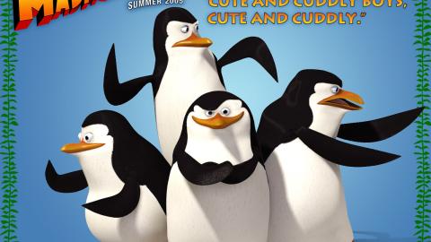 动画电影合集第一辑1520