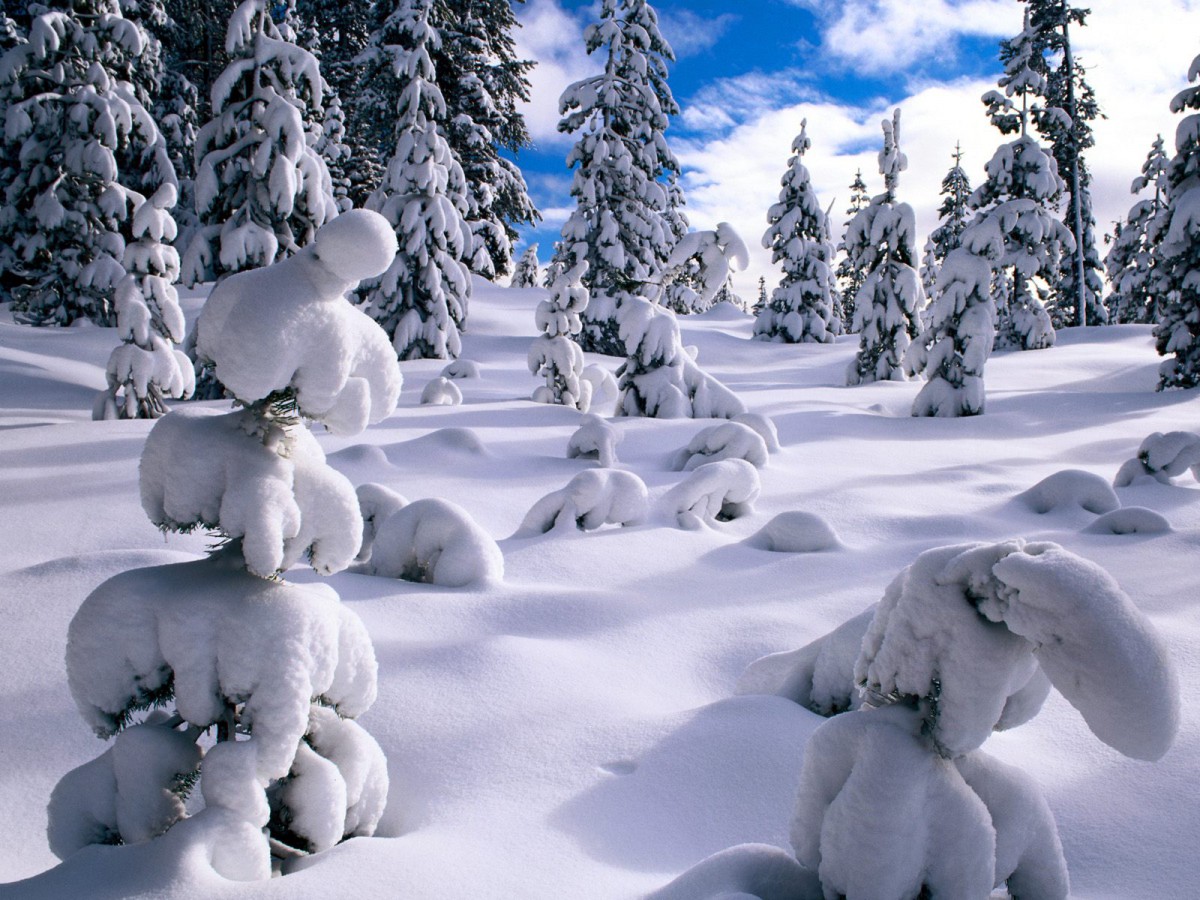 雪景第一辑 风景壁纸 高清风景图片 第18图 娟娟壁纸