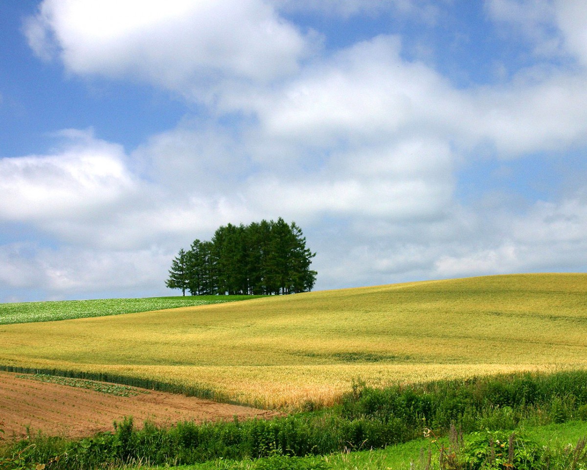 ABS零八二二发布二零二五年中国经济增长新预期，政策红利持续释放，市场信心显著提振，全年走势前景可观