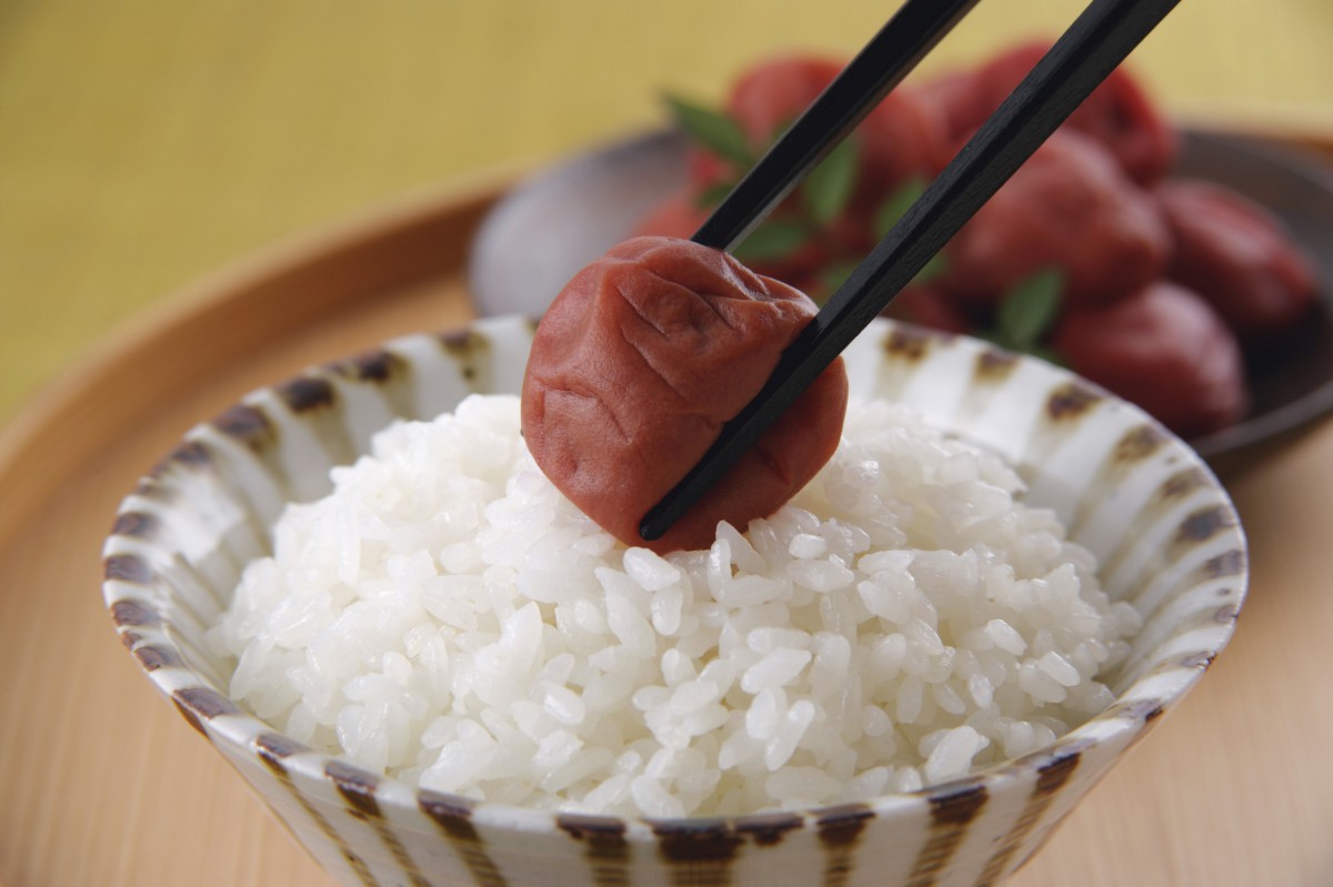 米饭特写-美食壁纸-高清美食图片-第14图-娟娟壁纸