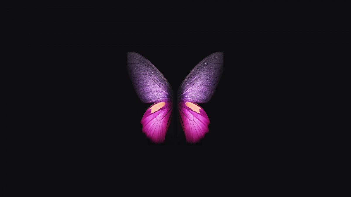 fold butterfly 蝴蝶 唯美艺术4k图片,4k高清其它图片,娟娟壁纸