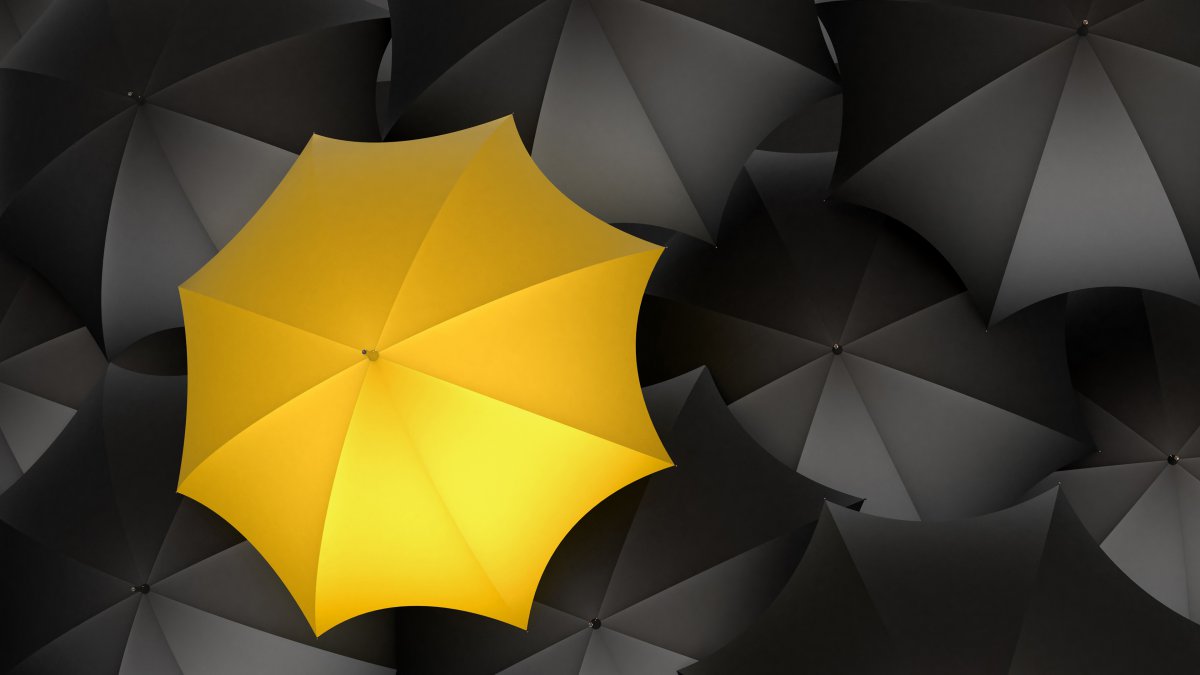 黄色,黑色,伞,特写镜头,设计图片,4k高清其它图片,娟娟壁纸