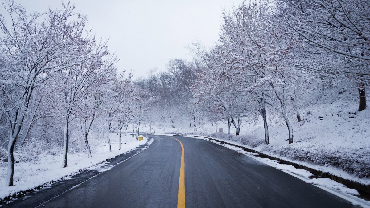 冬季森林冰雪道路自然风景图片