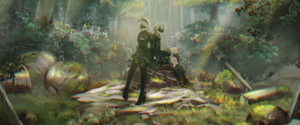 尼尔机械纪元2b和9s带鱼屏图片