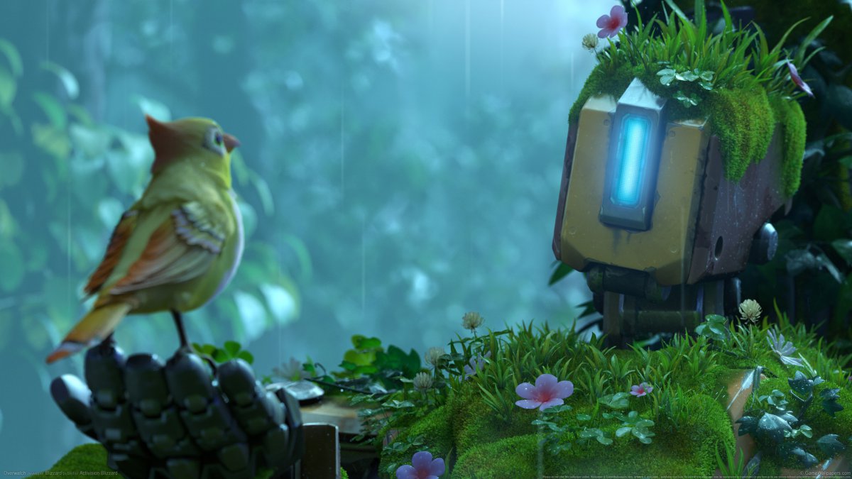 守望先锋小鸟妮妮4k图片