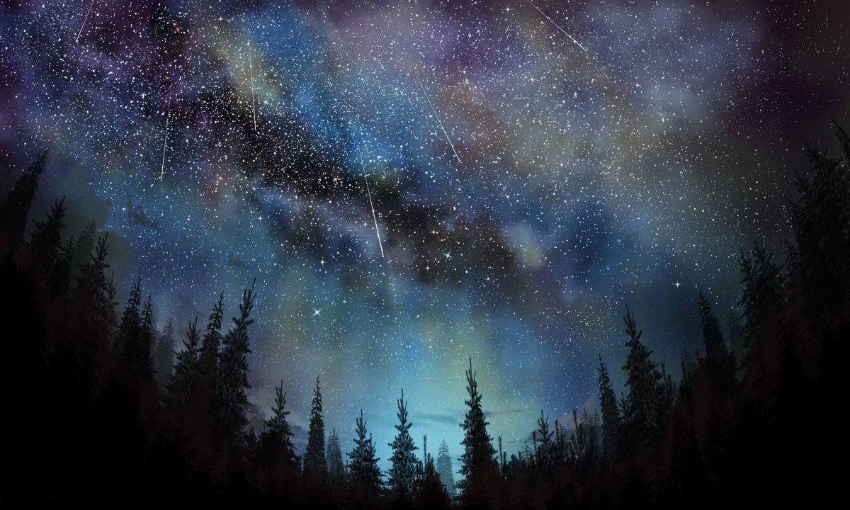 星空 星夜 流星 树林 星空4k图片,4k高清动漫图片,娟娟壁纸
