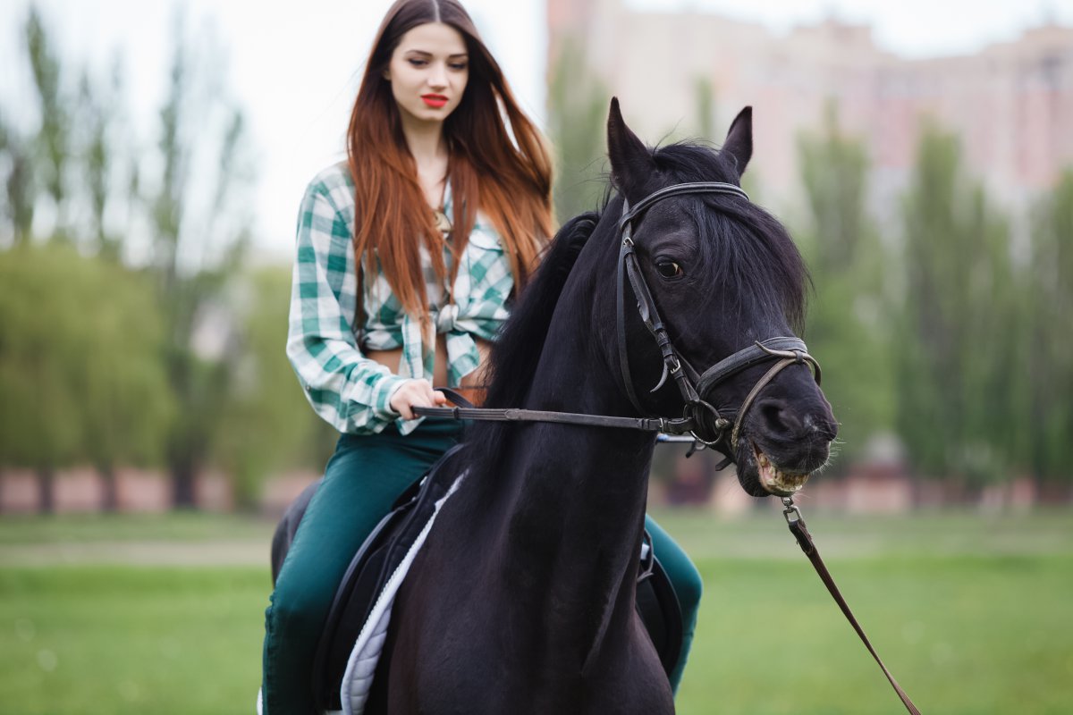 美丽的女孩骑马5k图片,4k高清美女图片,娟娟壁纸