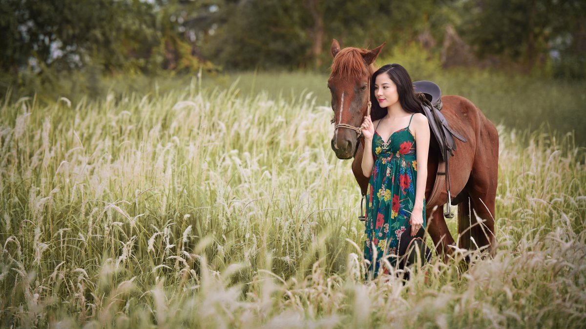 女孩散步,马,自然,美女人物风景5k图片图片