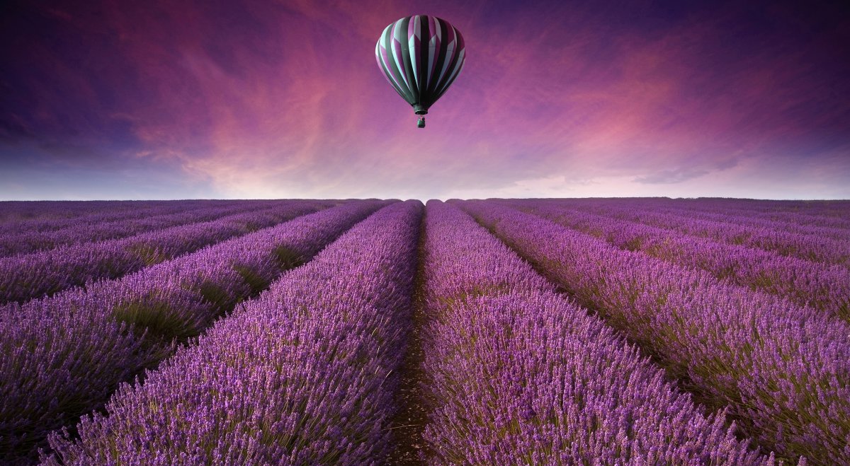 紫色花海热气球薰衣草庄园4k风景图片