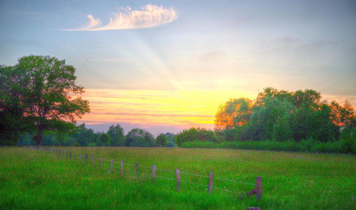 农村 阳光 树木 围墙 天空 草地 云彩 日落 5k风景图片