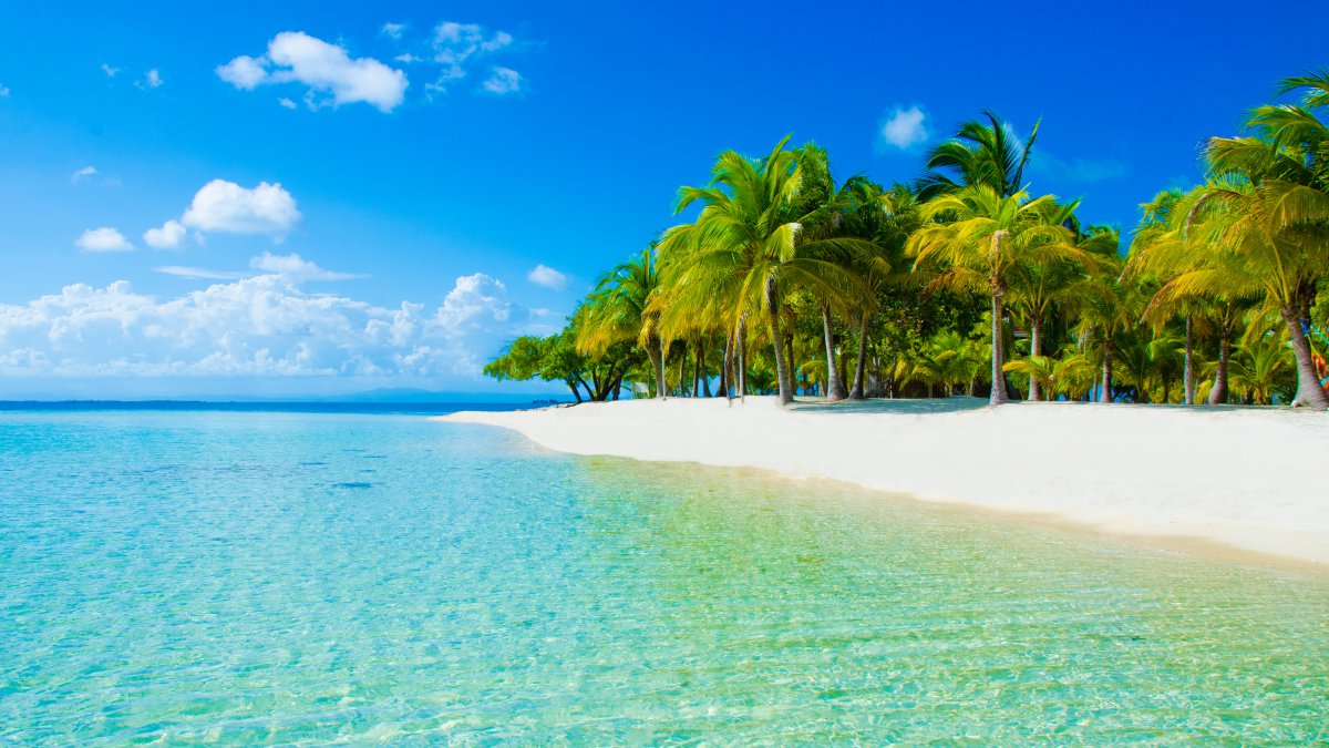 棕榈树自然沙滩天空云沙子4k海边风景图片