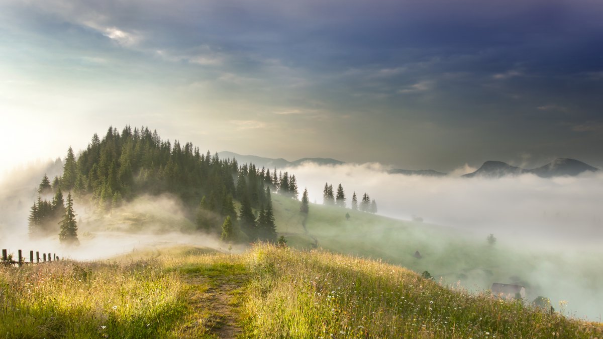 雾 太阳 山 森林 4k风景图片,4k高清风景图片,娟娟壁纸