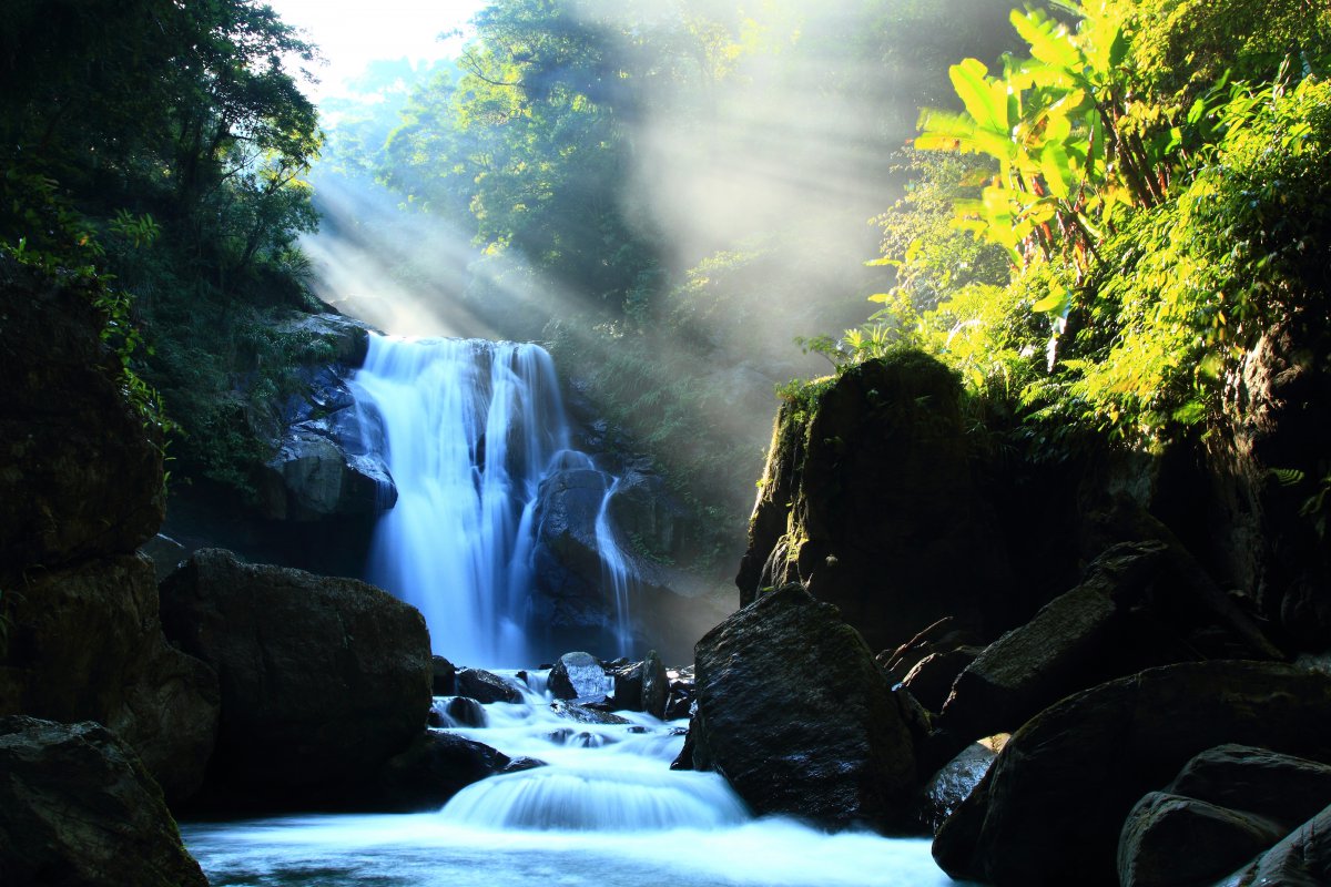 石头河流瀑布阳光树木自然风景4k图片