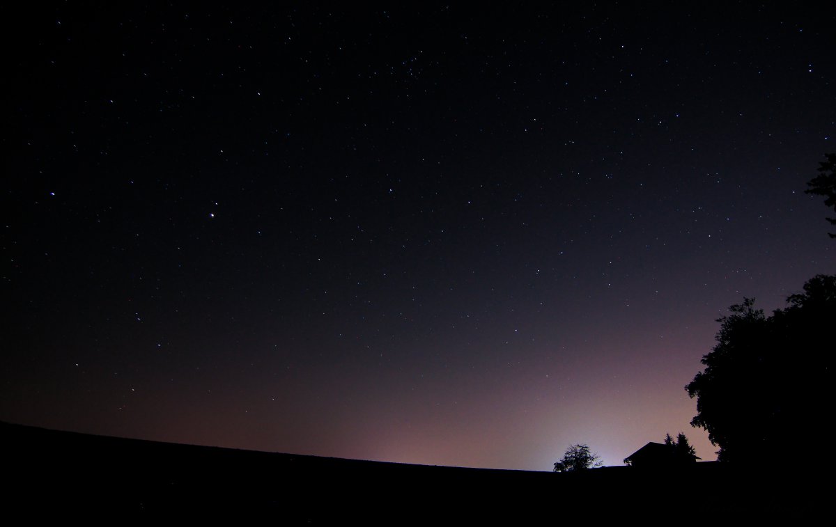 夜 森林 夜晚的天空 星空 4k风景图片,4k高清风景图片,娟娟壁纸