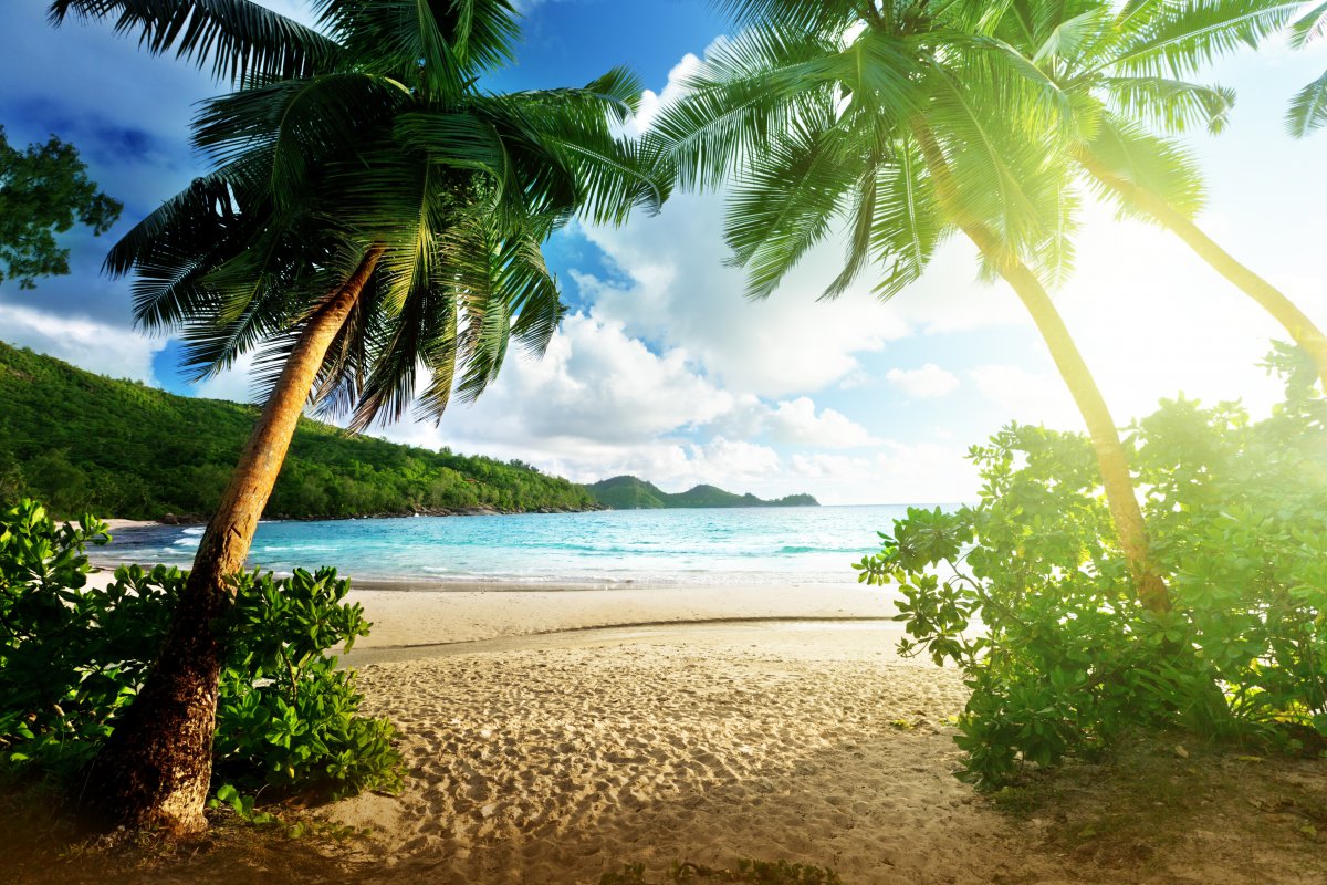 岛屿 沙滩 大海 5k风景图片,4k高清风景图片,娟娟壁纸